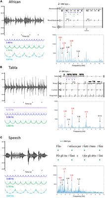 Synchronizing with the rhythm: Infant neural entrainment to complex musical and speech stimuli